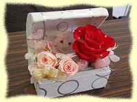 �v���U�[�u�h�t�����[�A�����W�@����