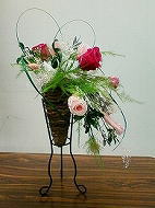 �v���U�[�u�h�t�����[�A�����W ����