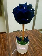 �v���U�[�u�h�t�����[�A�����W ����