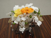 �v���U�[�u�h�t�����[�A�����W�@����