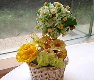 �v���U�[�u�h�t�����[�A�����W ����