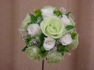 �v���U�[�u�h�t�����[�A�����W ����