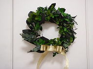 �v���U�[�u�h�t�����[�A�����W ����