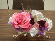 �v���U�[�u�h�t�����[�A�����W ����