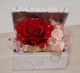 �v���U�[�u�h�t�����[�A�����W�@����