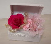 �v���U�[�u�h�t�����[�A�����W�@����