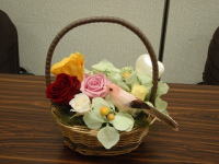 �v���U�[�u�h�t�����[�X�N�[��