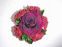 �v���U�[�u�h�t�����[�A�����W�@����