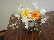 �v���U�[�u�h�t�����[�X�N�[��