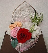 �v���U�[�u�h�t�����[�X�N�[��